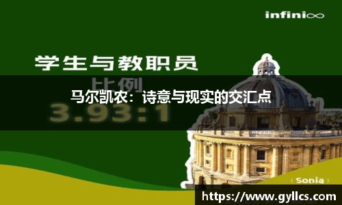 BB贝博登录入口