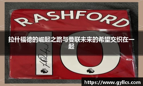 BB贝博登录入口