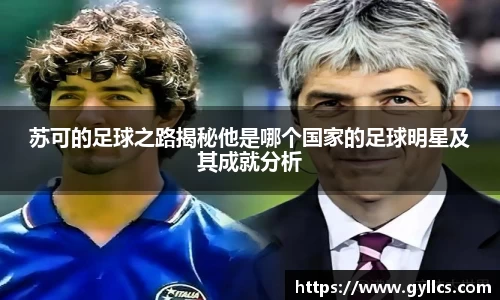 BB贝博登录入口